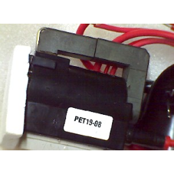 PET19-08